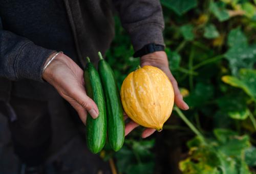 vegetables being held
